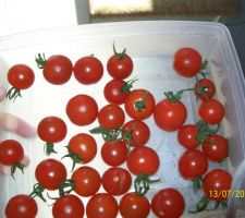 Tomate cerise non traitee