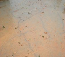 Fissures dalle