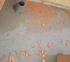 Fissures dalle