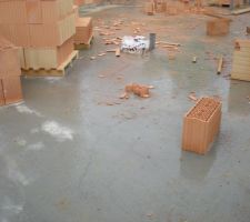 Fissures dalle