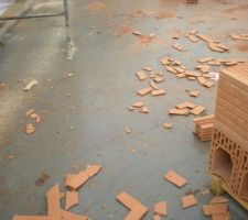 Fissures dalle
