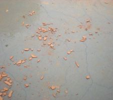Fissures dalle