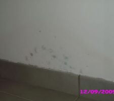 Et pan ! le mur aussi