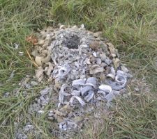 Novembre 2011. Etude de sol. Mauvaise surprise : argile grise. Surco&ucirc;t important &agrave; pr&eacute;voir pour les fondations.