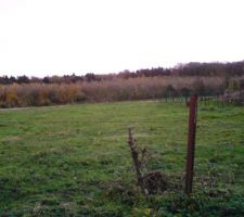 Vue de face du terrain