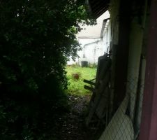 Le jardin, enfin ce qui est accessible