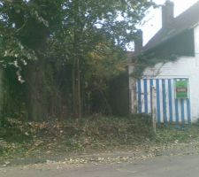 Ici commence la foret