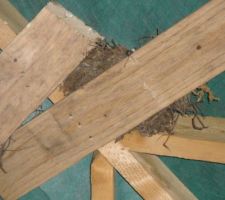 Et voila leur maison!!!