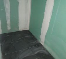 Carrelage douche ch1