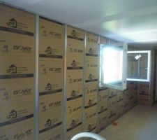Installation de l'isolation sur les murs.