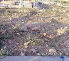 Terrain avant terrassement