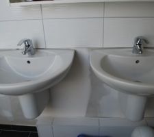 Vasques de la salle de bain