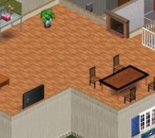Niveau  1 : Salon salle à manger sous les combles (pas représenté dans les sims :) )
Avec cheminée 3 ou 4 faces plus ou moins au centre de la pièce. 
Et un pignon avec une ferme entierement vitrée