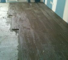 Début de la pose du carrelage!