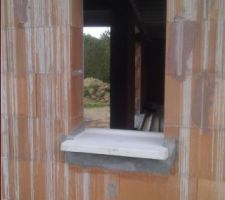 Fenêtre Chambre du rdc