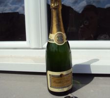 Champagne!!!!!