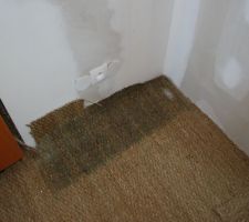 Moisi sous biblioth&egrave;que