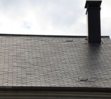 Toiture ardoise