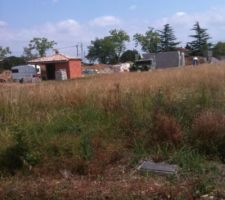 Vue du terrain avant d&eacute;frichage