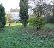 Notre terrain vue du sud.