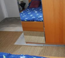 Amputation du jonc de mer