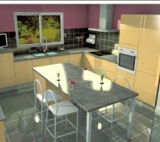Plan de cuisine n 1 2012