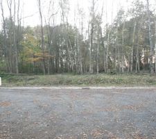 Le terrain débroussaillé