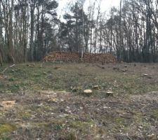 Le terrain déboisé