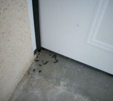 Porte de garage grignotée par un rongeur.