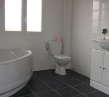 Sdb americaine ,sinon cela m'obligeai d'ajouté une piece 3ou4m2 uniquement pour les wc