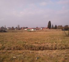 Les terrains ont enfin &eacute;t&eacute; born&eacute;s.
Le petit piquet en milieu de photo correspond &agrave; notre bornage :o)