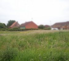 Petite v&eacute;rification pour voir l'avanc&eacute;e des travaux.

Notre terrain est juste avant les maisons flout&eacute;es.