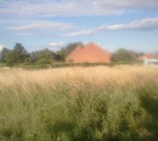 Notre terrain est situ&eacute; juste avant la maison flout&eacute;e. Difficile a d&eacute;limiter avec les terrains voisins.