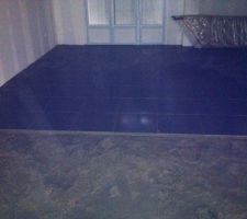 Salle &agrave; manger (joints, plinthes et salon &agrave; venir)