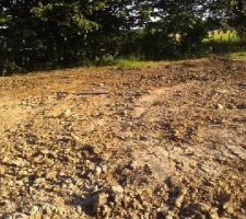 Le terrain
