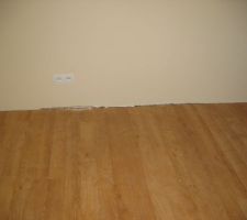 Ch&egrave;ne 2 frises