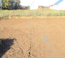 Le trac&eacute; de la maison en bleue
