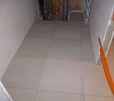 Cellier carrel&eacute;