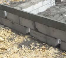 Est-ce que quelqu'un sait à quoi servent ces trous ?
J'imagine que c'est pour la ventilation mais je ne suis pas sur...