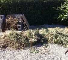 Tas de mauvaise herbes récoltées ce derniers jours ...