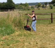 Débroussaillage (1m70 de haut quand même !)