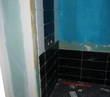 Fa&iuml;ence en cours...