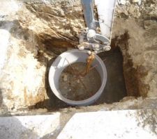 Pose premi&egrave;re buse