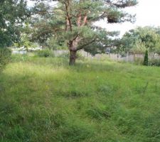 2&egrave;me partie du terrain