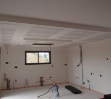 Faux plafond de la cuisine