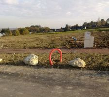 Born&eacute; et viabilis&eacute;