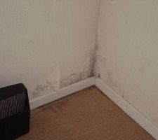 Humidité suite ?