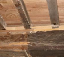 Les cales qui surélèvent le plancher