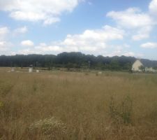 Vue du terrain depuis le fond du jardin. 
Sur la gauche la personne figure la limite et on voit au fond les bornes blanches qui d&eacute;limitent c&ocirc;t&eacute; route.