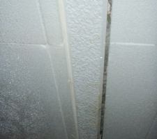 Ect centre et l'isolation des doubles poutrelles !!! chapitre 2